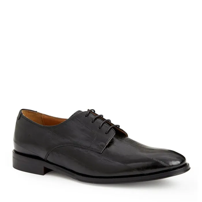 Asti Traditional Dress DerbyBlack EEL Men Bruno Magli Laceups and Oxfords