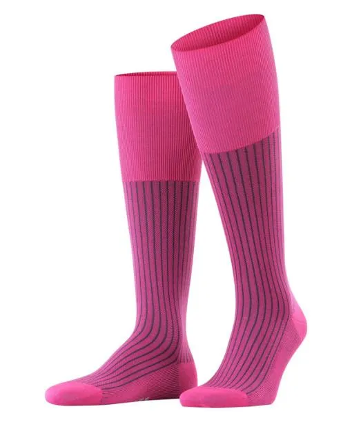 Men Oxford Stripe Men Kneehigh Socks Berry FALKE Knee High Socks