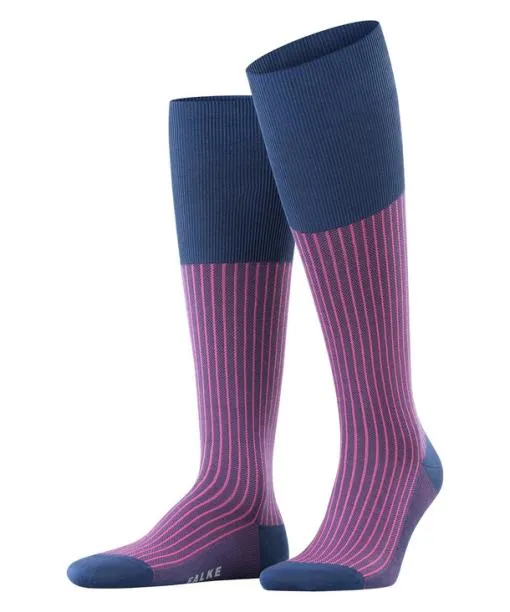 Men Oxford Stripe Men Kneehigh Socks Royal Blue FALKE Knee High Socks