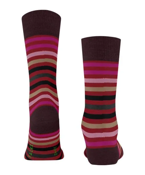 Men Tinted Stripe Men Socks Ingle FALKE Socks