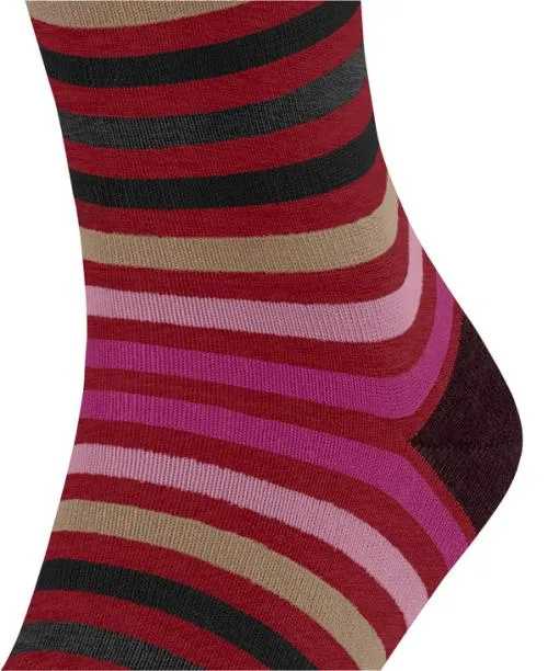 Men Tinted Stripe Men Socks Ingle FALKE Socks