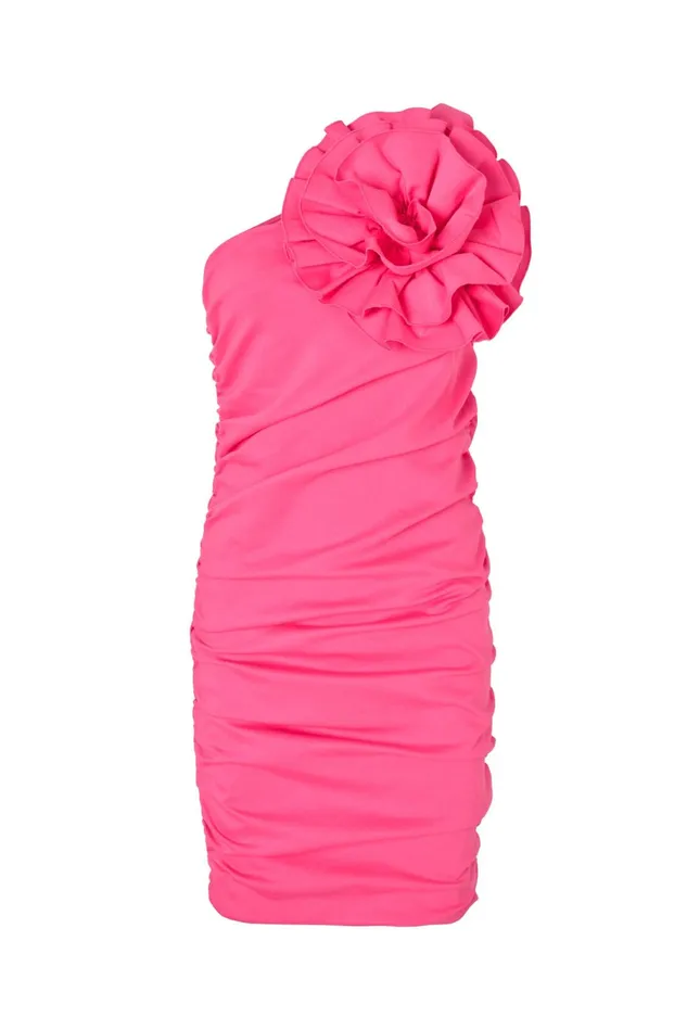 Satc Dress 8211 Pink Women Cras Dresses