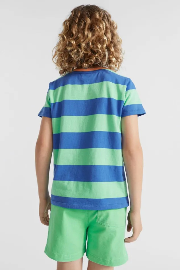 TShirts and Tops Boy Seed Heritage Block Stripe Tee Pine Lime