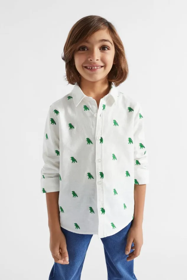 TShirts and Tops Boy Seed Heritage Dino Shirt Canvas