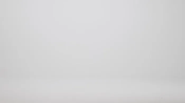 Women Brahmin Satchels Caroline Black Spark
