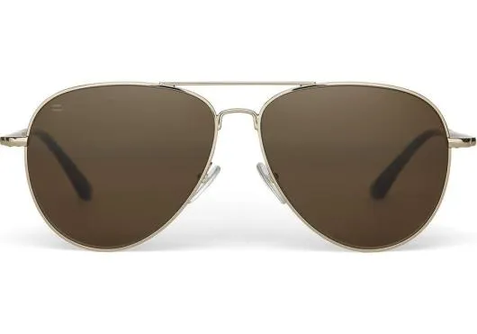 WomenMen Hudson Shiny Gold 8211 Solid Brown Poplar TOMS Sunglasses