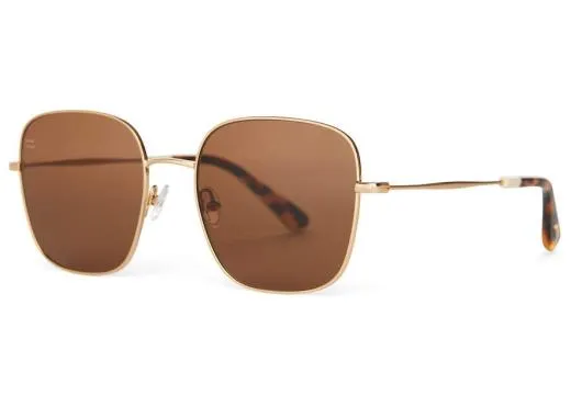 Women Nova Shiny Yellow Gold Solid Brown TOMS Sunglasses